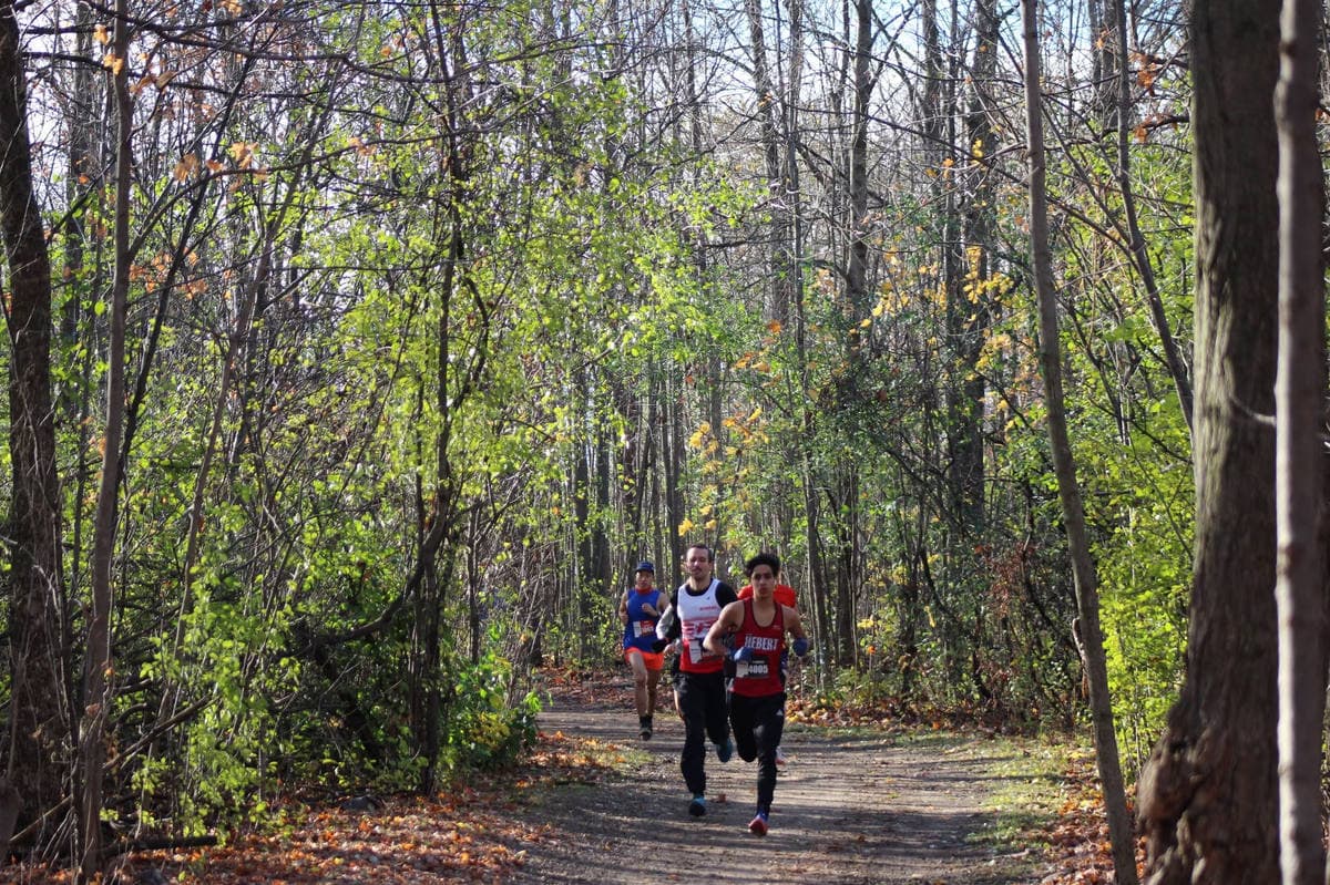 A pack of runners on a forest trail.